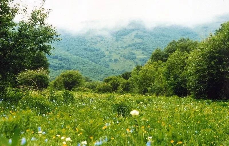 隐藏在CHI（赤）FENG（峰）里的秘密，你发现了吗？