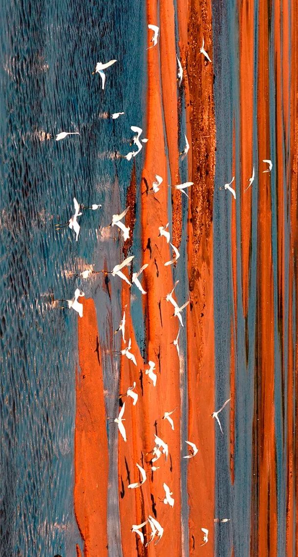 这就是湖北,这就是湖北气质