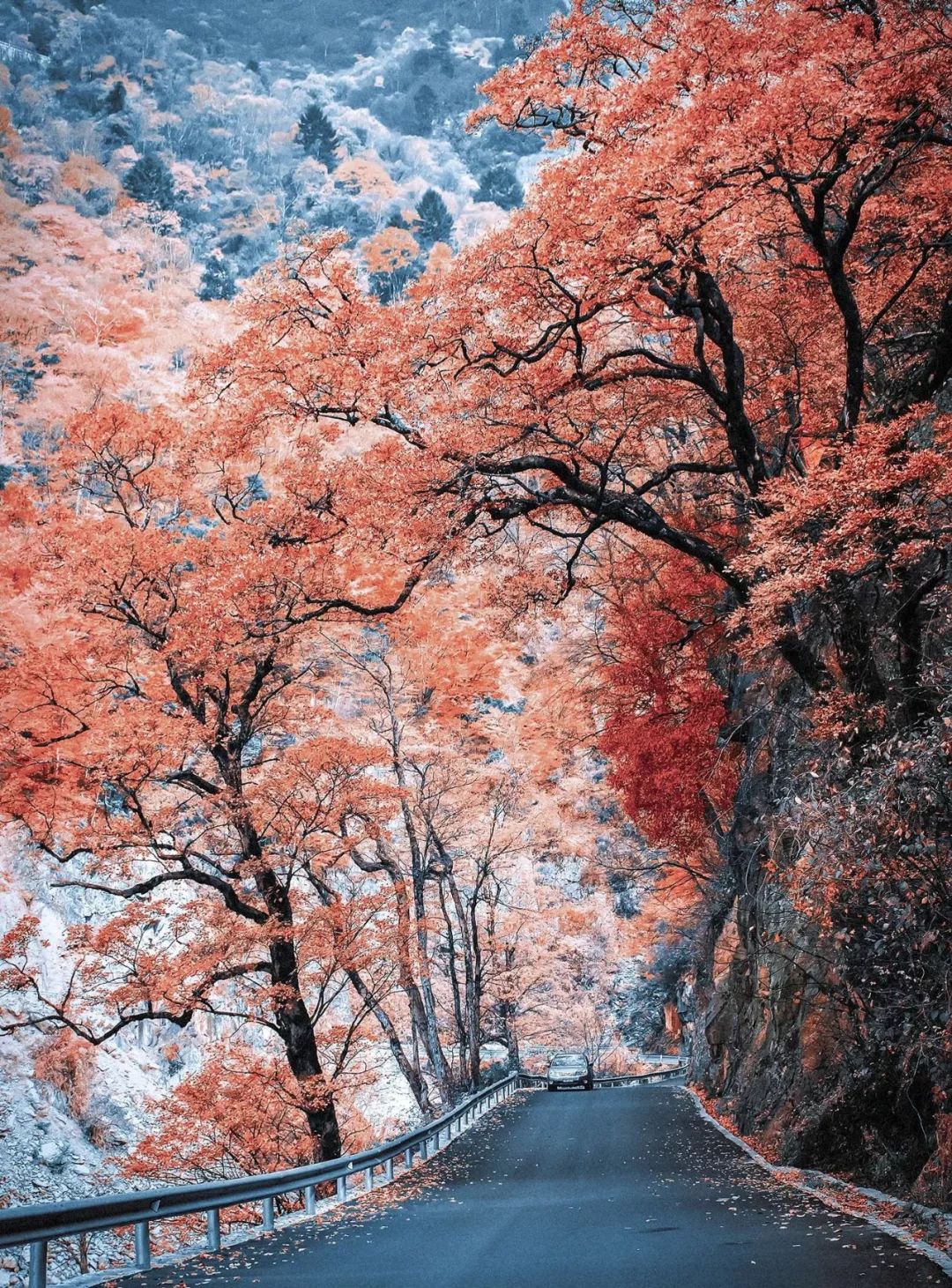 这就是湖北,这就是湖北气质