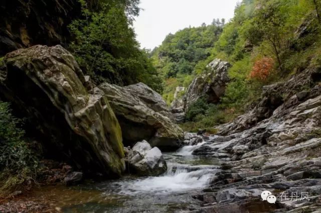 这个周末我约了丹凤的秋天,邀你共赏!去的约起来....