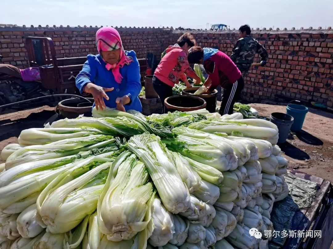 又到腌酸菜的季节,又到腌酸菜的时候