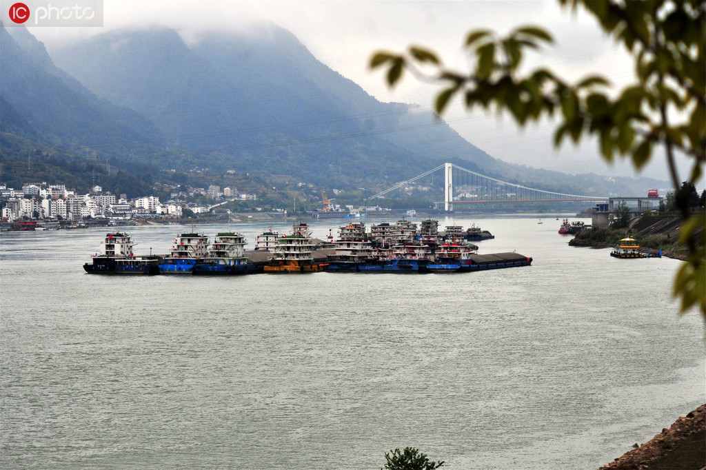 长江航运货运量,长江航运物流总量