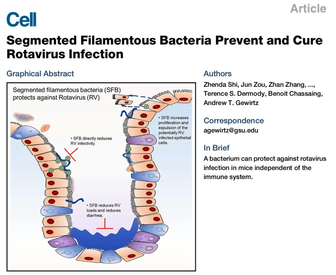 10月，33篇必读微生物研究：癌症、微生物药物、脑肠轴、皮肤-肠道轴、共生病毒、阴道微生物、菌群免疫互作、肠道黏液、粪菌移植