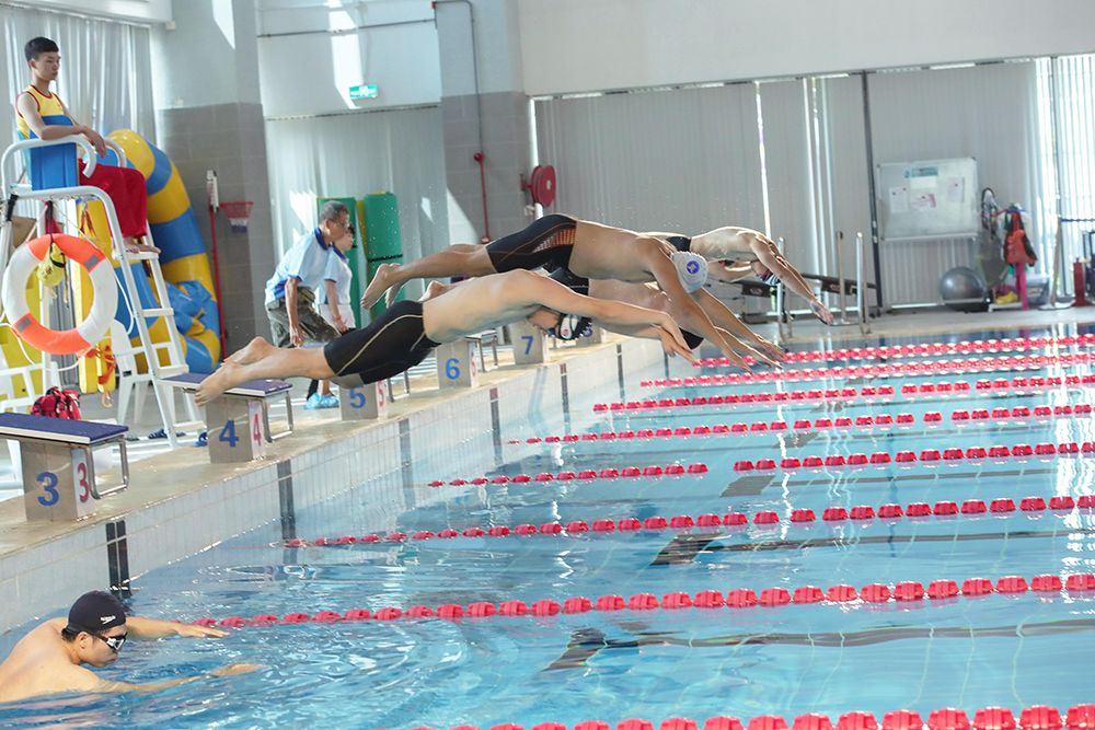 粤港澳大湾区会举办什么运动会,粤港澳大湾区友好运动会
