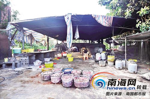 海口秀英石山案件,海口秀英区反腐