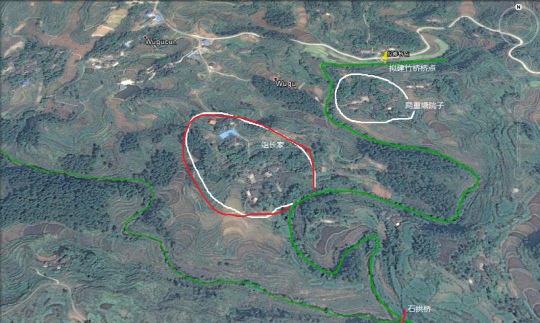 竹子的优点有哪些,竹子很有营养吗