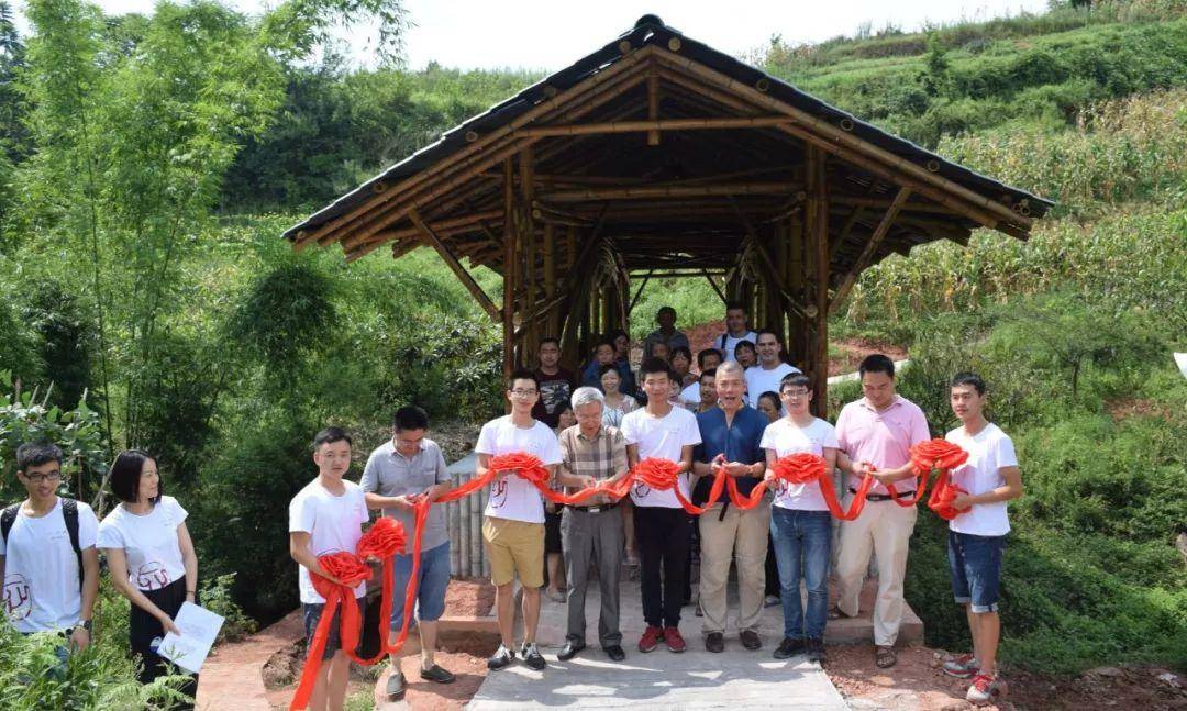 竹子的优点有哪些,竹子很有营养吗