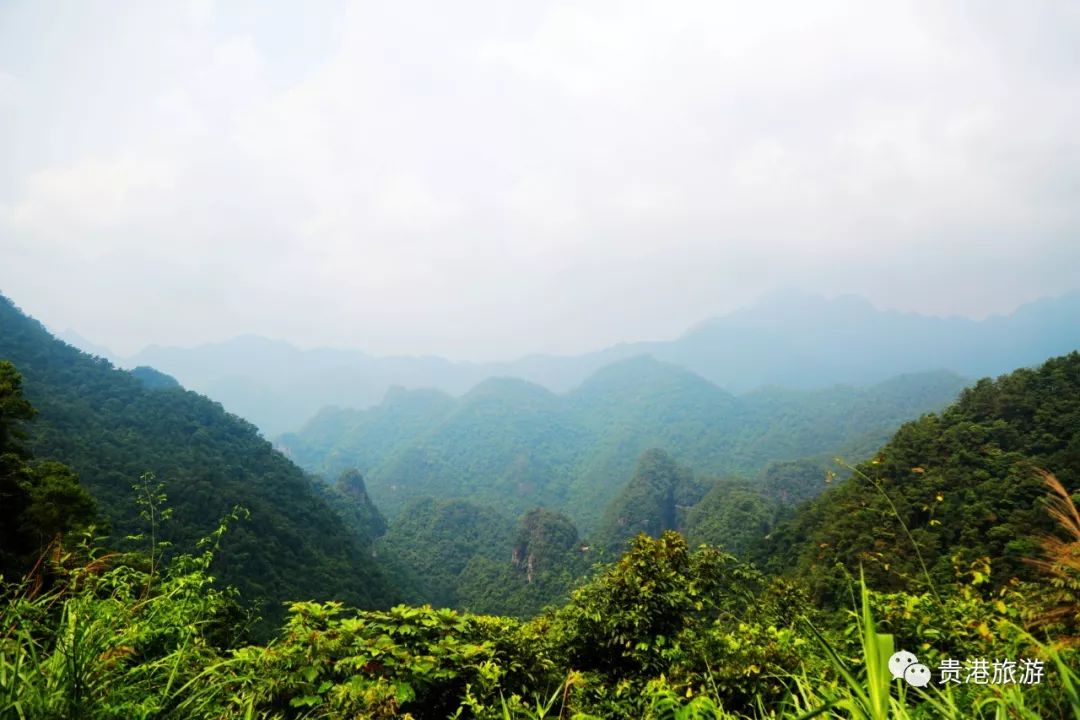 推荐|七彩天梯、野生猕猴、汽车露营……贵港龙潭国家森林公园与你不见不散