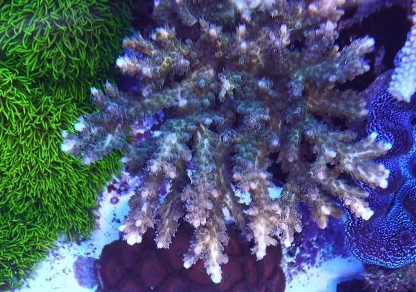 这是人家十年前的缸？我这些年瞎玩了……