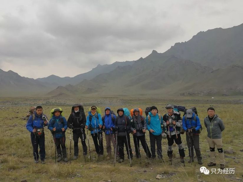 博格达雪莲花简介,雪莲花博格达