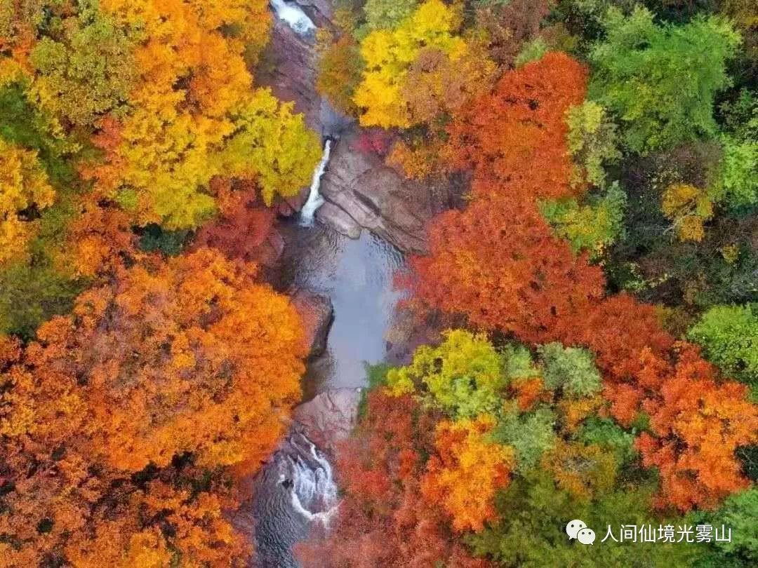 秋天的川西彩林,川西彩林最佳观赏地点