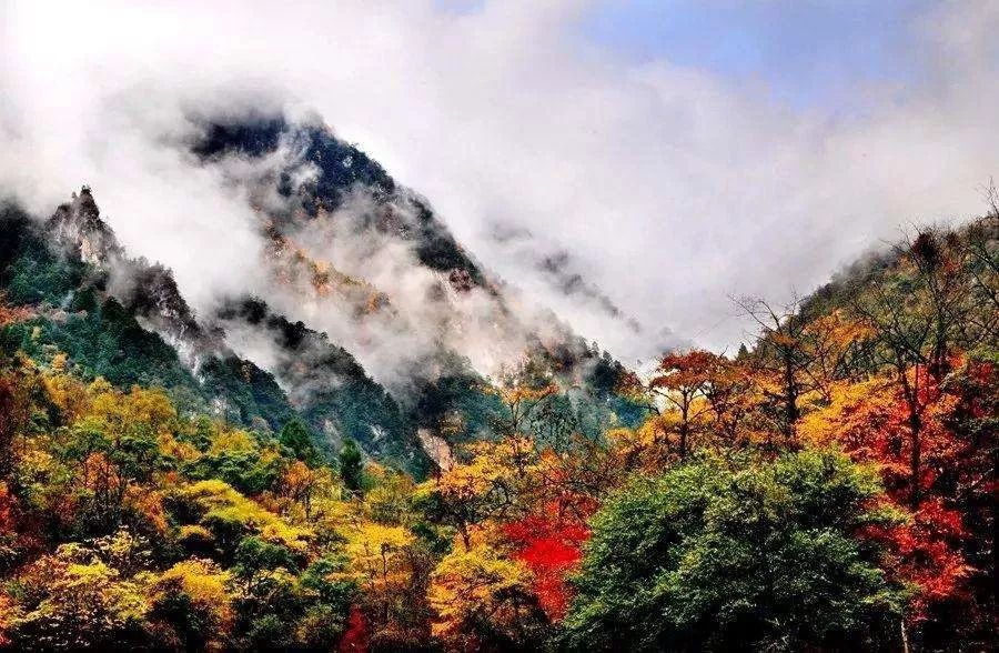 秋天的川西彩林,川西彩林最佳观赏地点