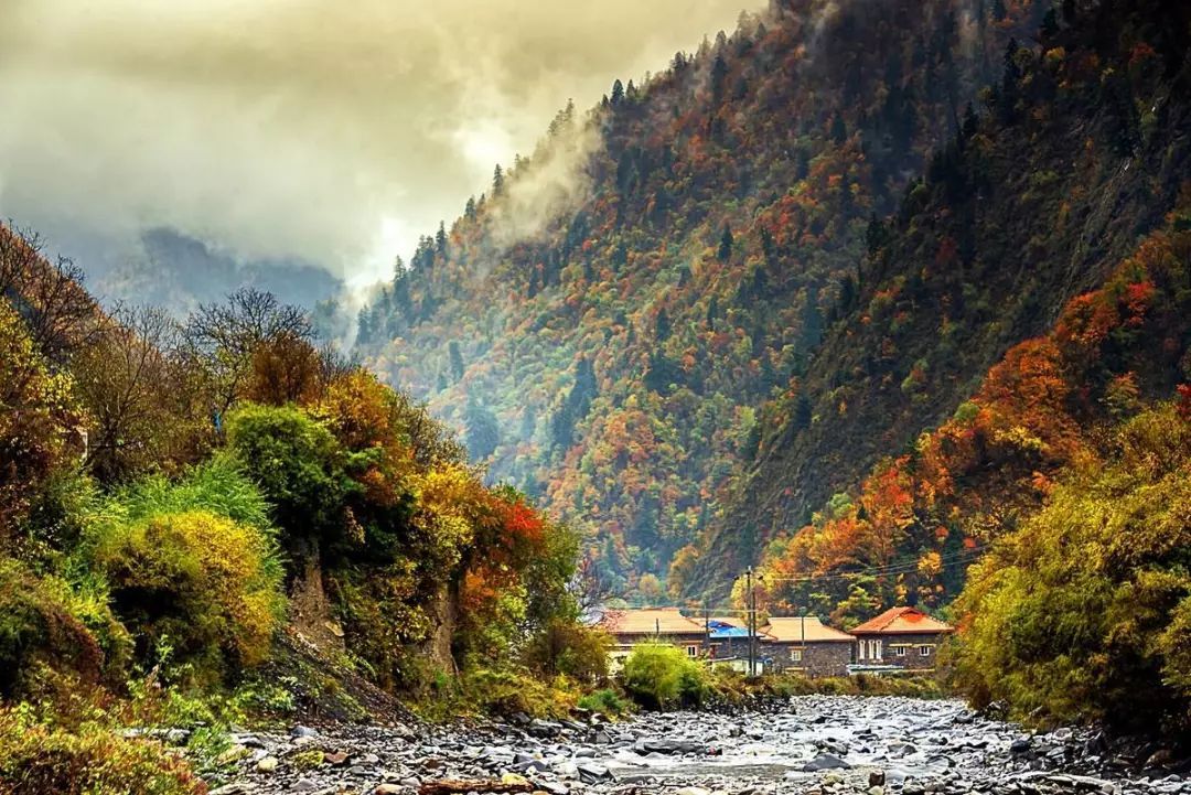 秋天的川西彩林,川西彩林最佳观赏地点