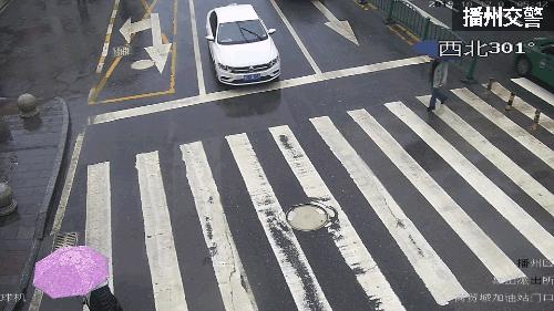 曝光台处理违章,曝光台违法大曝光2021第16期