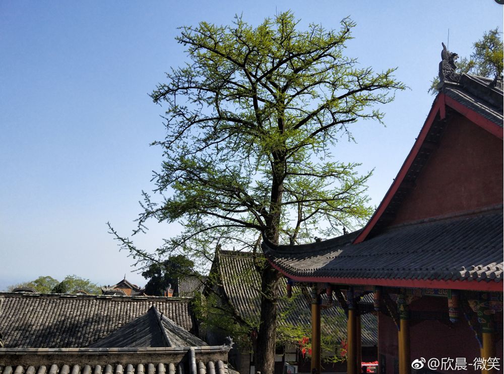 四川旅游浮云牧场1000块钱能玩,四川古村落旅游景点推荐