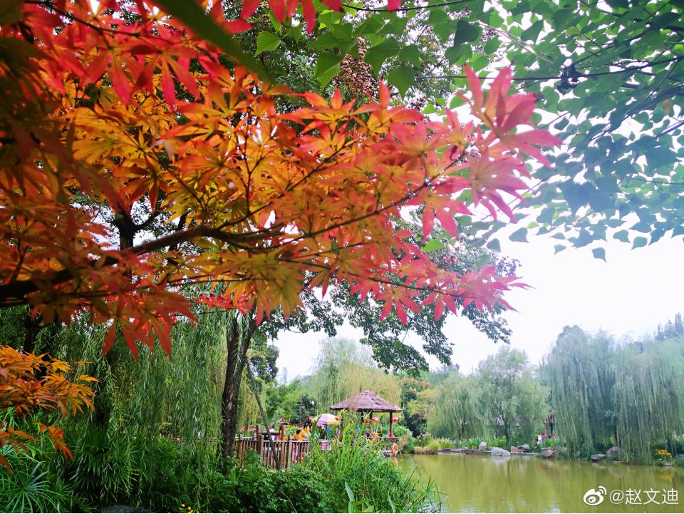 四川旅游浮云牧场1000块钱能玩,四川古村落旅游景点推荐