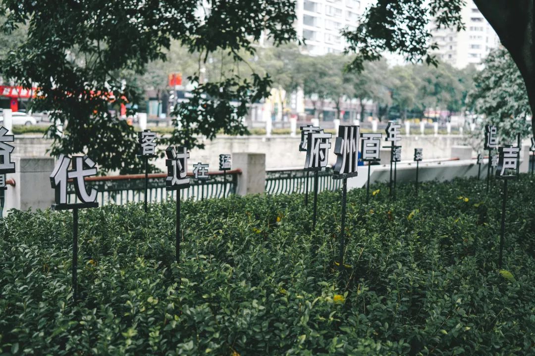 冲突与调和,新晋网红街区望平坊的素颜时光|城市觅食