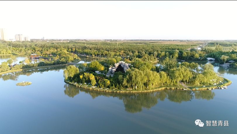 青县集会,2019沧州旅发大会