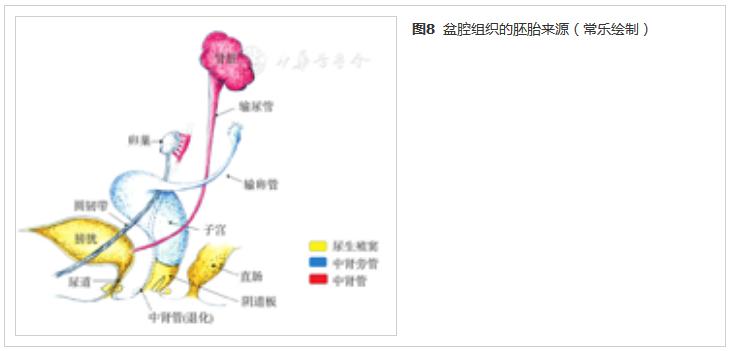 从进手术室到手术完成出来流程,从病区至手术室手术流程图