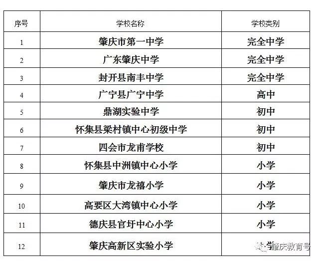 肇庆前十名的小学,广东全国青少年足球特色学校