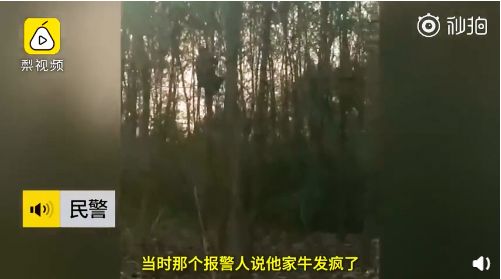 早安池州〔2019.10.24周四〕