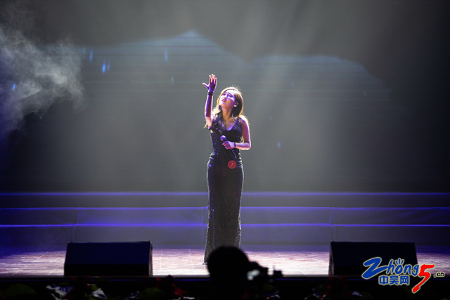 农民工歌手大奖赛,常州市经开区歌手大赛