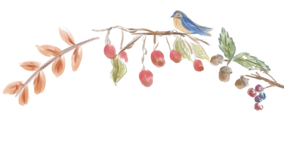 老爸老妈，我在人大挺好的！