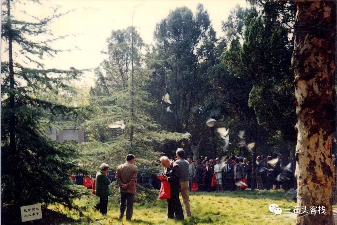 华政的简介,华政的故事