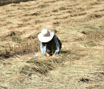 川大王牌专业推荐,川大专业介绍