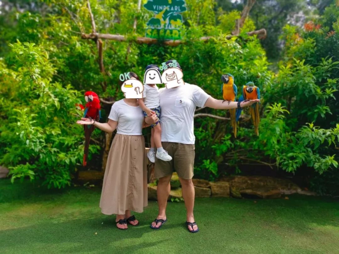 越南富国岛旅游推荐,富国岛越南旅游