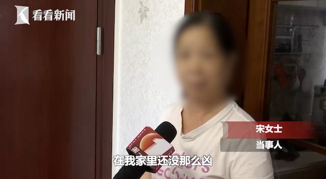 不速之客萨摩耶跑到邻居家,萨摩耶犬冲陌生人叫