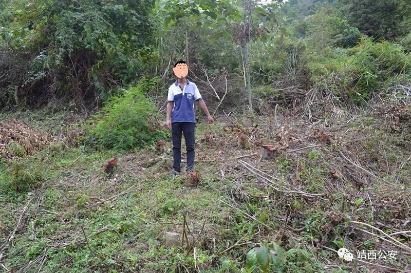 昆仑行动保健食品事件,2019年昆仑行动假药事件