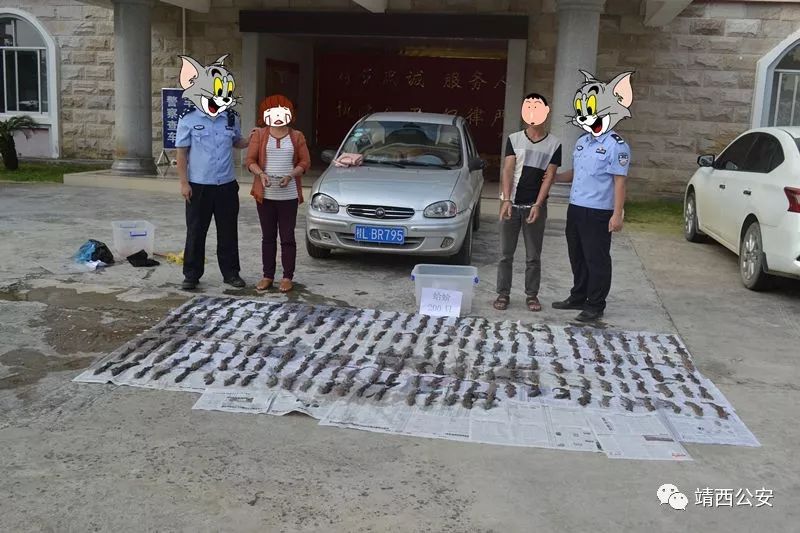 昆仑行动保健食品事件,2019年昆仑行动假药事件