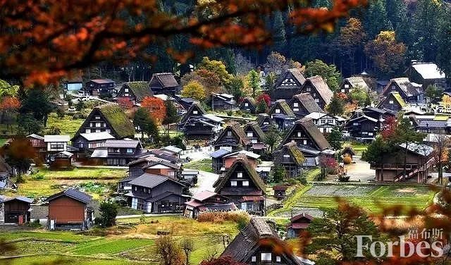 福布斯度假指南,福布斯打卡