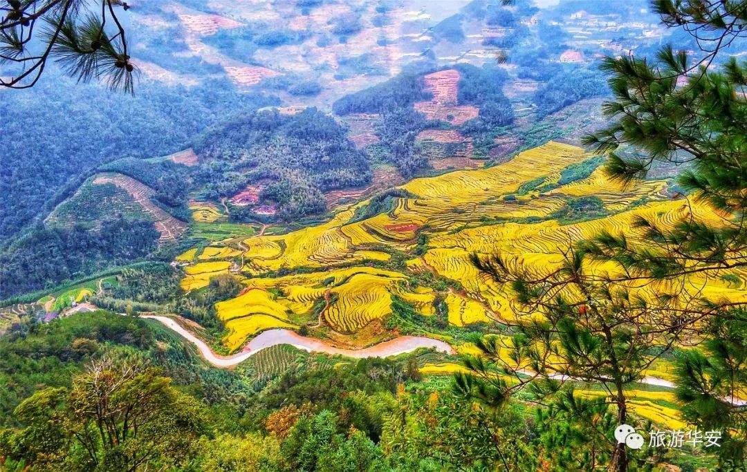 福建冬天风景最美的地方,福建冬季风景最美的地方