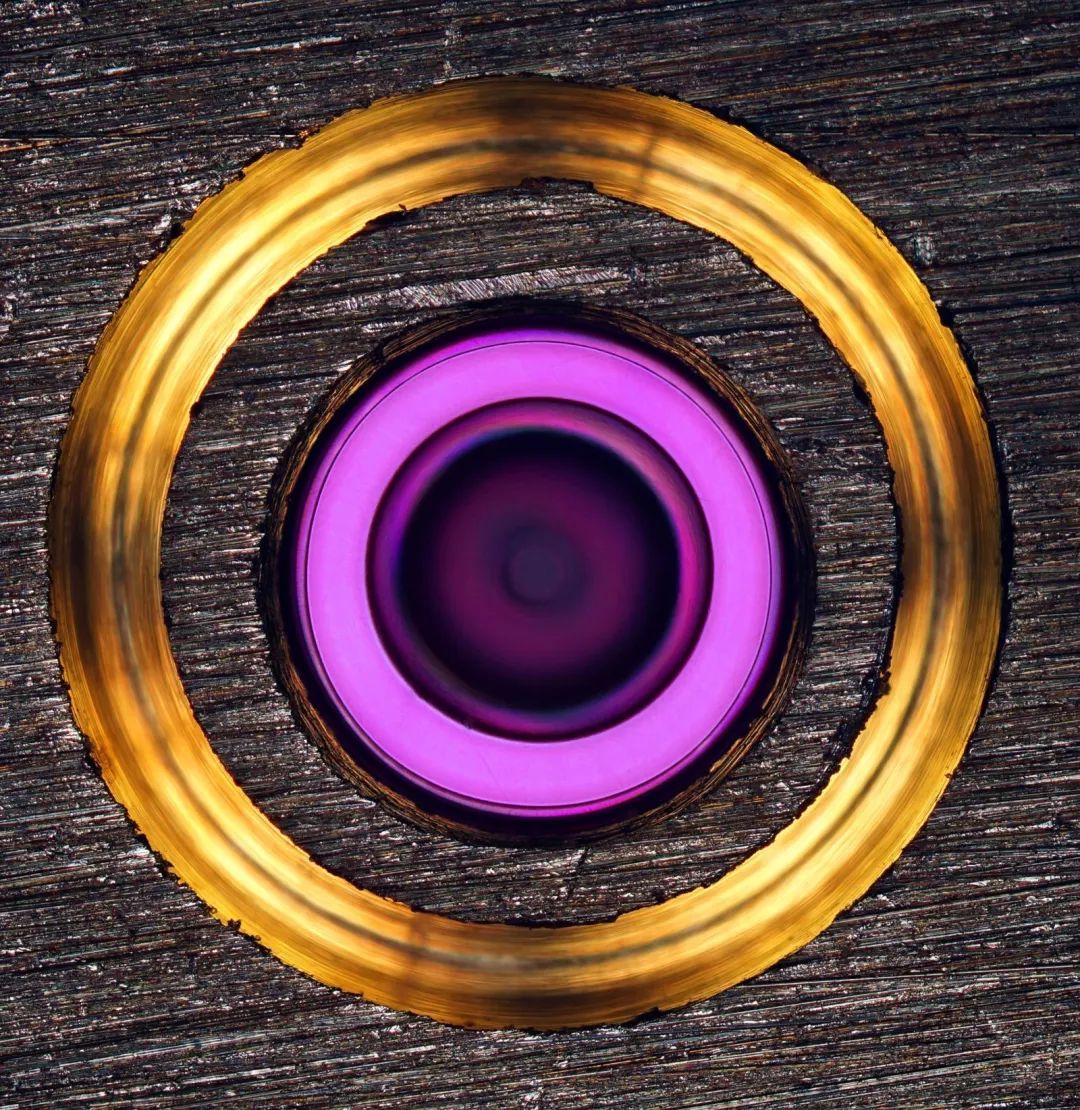 小小世界冠军,小小世界摄影奖