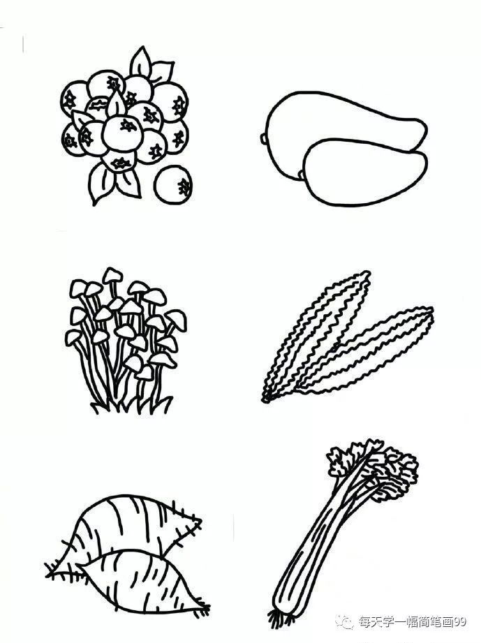 简笔画菜园子各种蔬菜水果图片,儿童简笔画蔬菜和水果