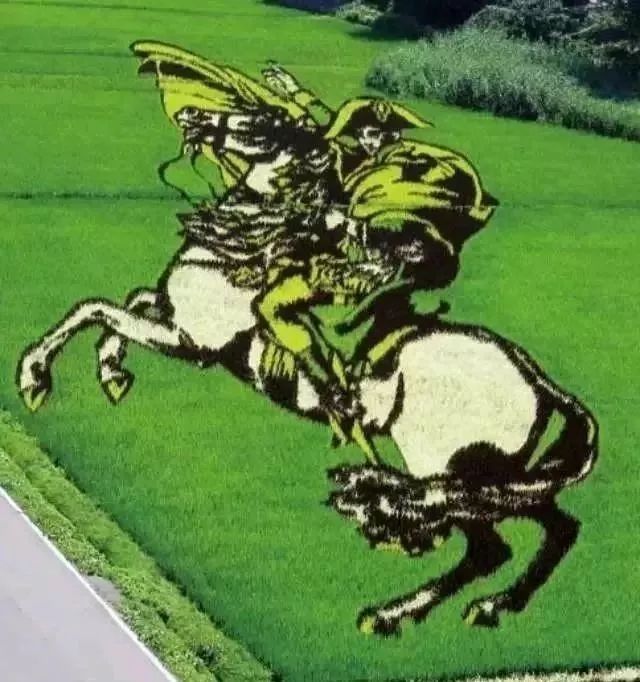 学习日本农业：超前思维，敬畏自然，死磕单品