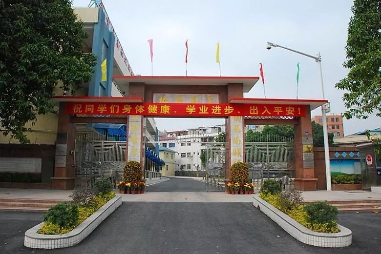 东莞学校被通报,盘点东莞最牛学校