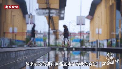 进博会虹桥品汇,进博展品坐上中欧班列来上海