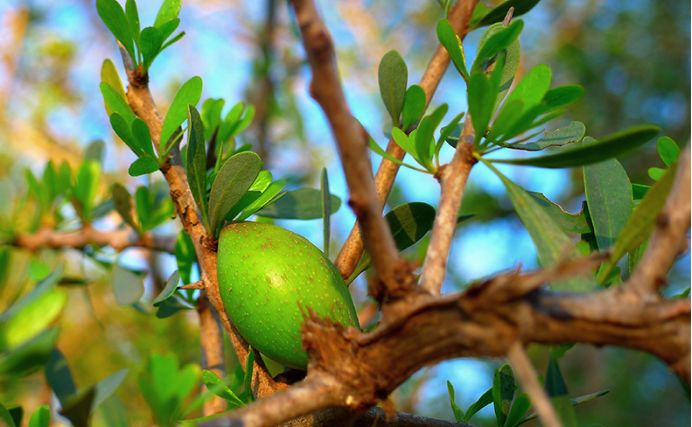 足部护理保湿防干裂去死皮,干燥足部保湿霜