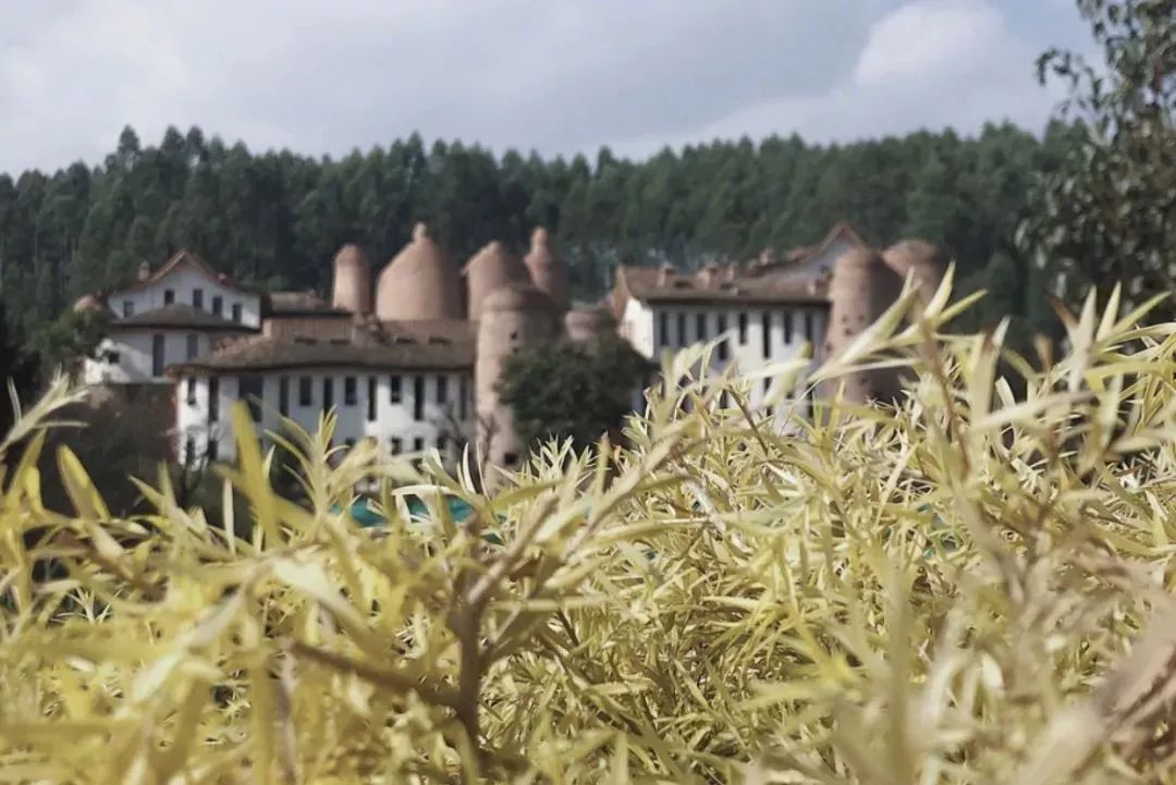 约吗？10月27日去巽寮听一场云南原生态民间艺术展演