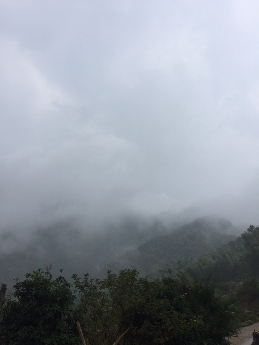 好久未发说说,好久没发过朋友圈的句子