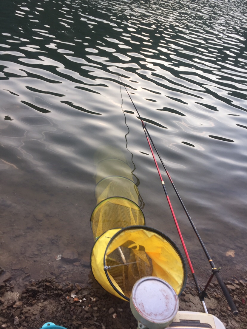 好久未发说说,好久没发过朋友圈的句子