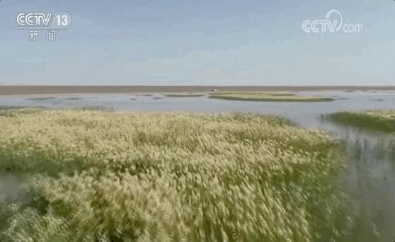 济南临空片区供热管网一期项目 (济南市历下区2021年供热通知)