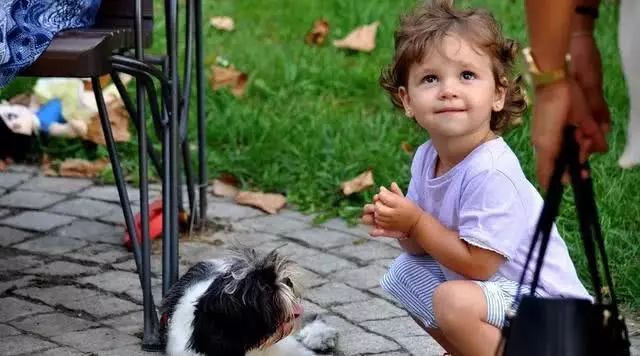 最适合启蒙的数学游戏,题海战术数学