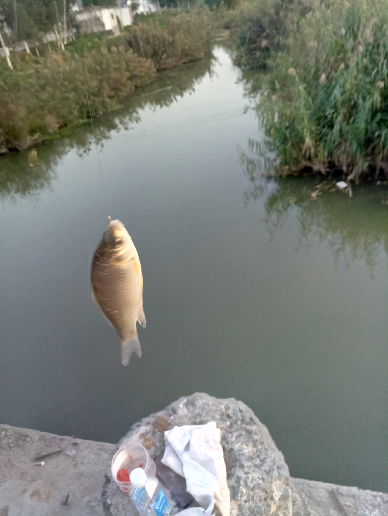 好久没有钓鱼了怎么钓,钓鱼半天没口就怀疑没调好漂