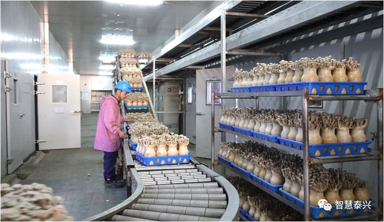 泰兴50个项目,泰兴2024重大工业项目一览表