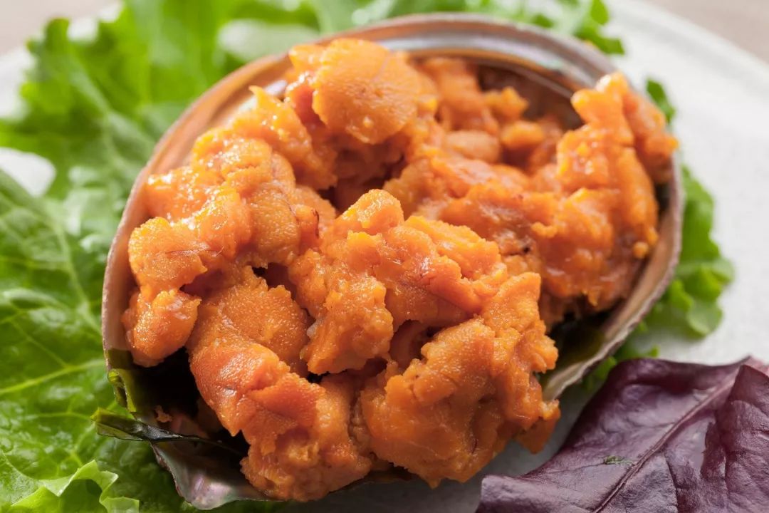 为什么海胆走路要“屁股”朝天