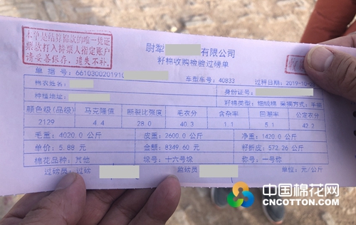 阿克苏棉花籽棉产量及价格,今日棉花价格新疆尉犁县